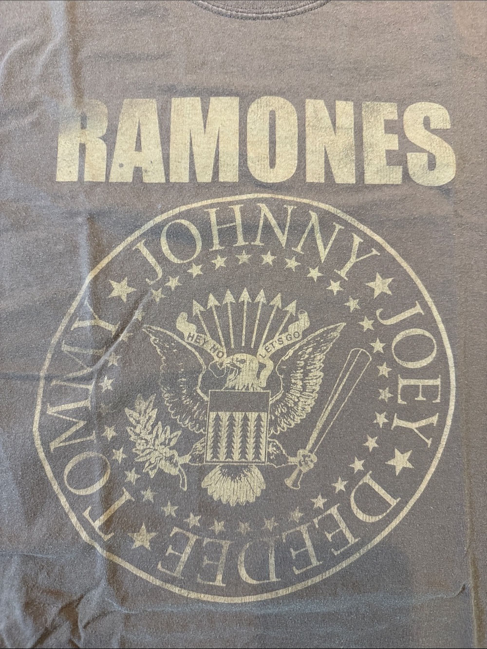 Ramones Band Graphic Tee in Faded Brown and Off-White graphic vintage